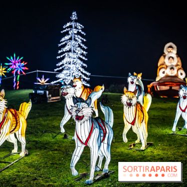 L'Odyssée Lumineuse au Parc Floral 2025, les photos