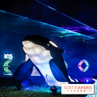 L'Odyssée Lumineuse au Parc Floral 2025, les photos