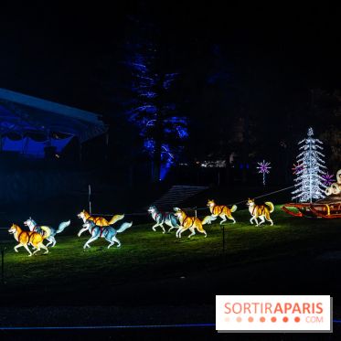 L'Odyssée Lumineuse au Parc Floral 2025, les photos