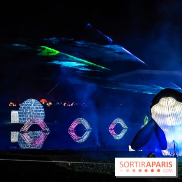 L'Odyssée Lumineuse au Parc Floral 2025, les photos