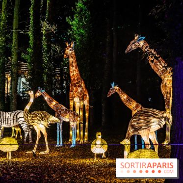 L'Odyssée Lumineuse au Parc Floral 2025, les photos