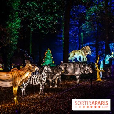 L'Odyssée Lumineuse au Parc Floral 2025, les photos