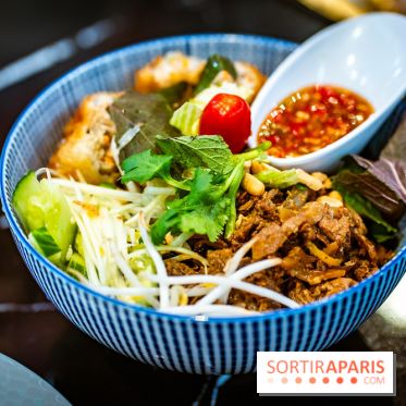 Amour du Vietnam, le restaurant Vietnamien Paris 14e - A7C01614