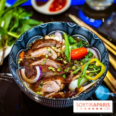 Amour du Vietnam, le restaurant Vietnamien Paris 14e - A7C01594