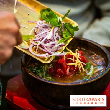 Amour du Vietnam, le restaurant Vietnamien Paris 14e - A7C01556