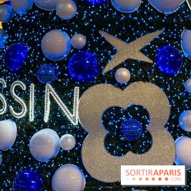 Le sapin de Noël 2025 de Beaugrenelle, co-signé par une Maison de Haute Joaillerie française - IMG 1120