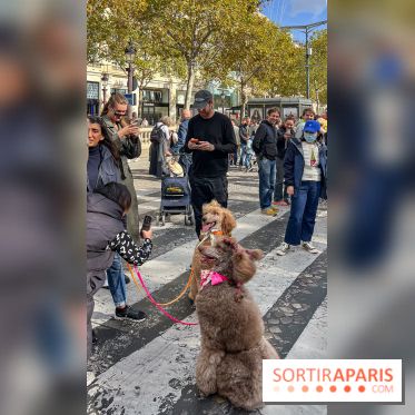 La Marche des animaux à Paris : défilé gratuit, ouvert aux chiens, chats ... sur les Champs-Élysées - IMG 5200