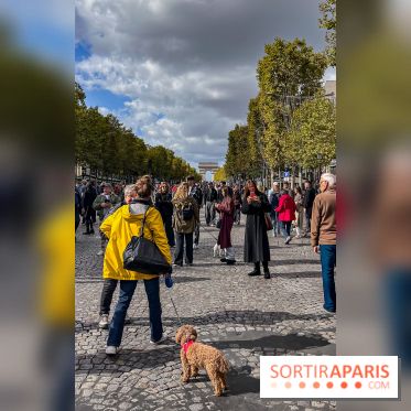 La Marche des animaux à Paris : défilé gratuit, ouvert aux chiens, chats ... sur les Champs-Élysées - IMG 5258