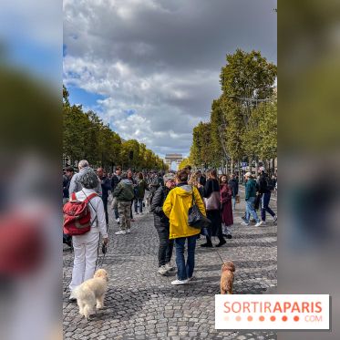 La Marche des animaux à Paris : défilé gratuit, ouvert aux chiens, chats ... sur les Champs-Élysées - IMG 5261