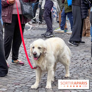 La Marche des animaux à Paris : défilé gratuit, ouvert aux chiens, chats ... sur les Champs-Élysées - IMG 5332