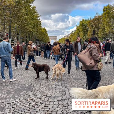 La Marche des animaux à Paris : défilé gratuit, ouvert aux chiens, chats ... sur les Champs-Élysées - IMG 5342