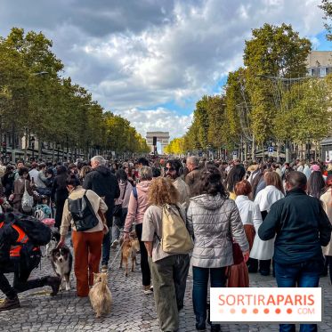 La Marche des animaux à Paris : défilé gratuit, ouvert aux chiens, chats ... sur les Champs-Élysées - IMG 5404