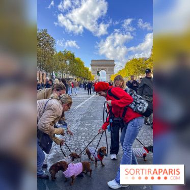 La Marche des animaux à Paris : défilé gratuit, ouvert aux chiens, chats ... sur les Champs-Élysées