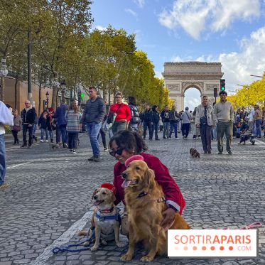 La Marche des animaux à Paris : défilé gratuit, ouvert aux chiens, chats ... sur les Champs-Élysées