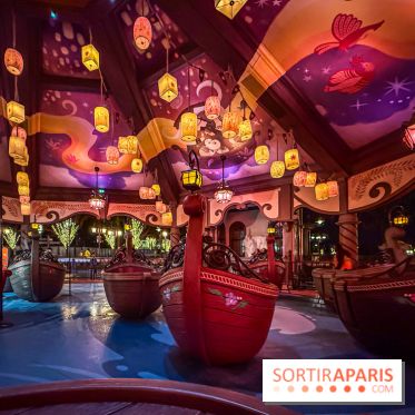 Raiponce Tangled Spin  - IMG 2184