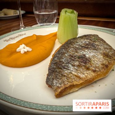 The Regal View - plat