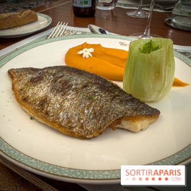 The Regal View - plat