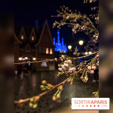 World of Frozen - nuit