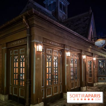 World of Frozen - fjord view shop nuit