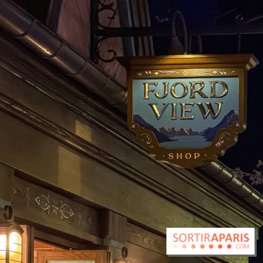 World of Frozen - fjord view shop nuit