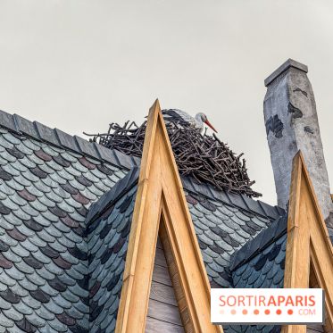 World of Frozen cigogne