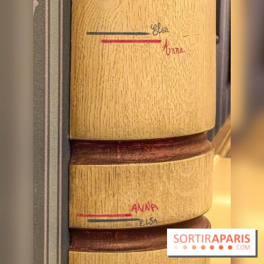 World of Frozen - Rencontre Royale détail Anna Elsa