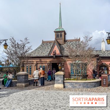 World of Frozen - fjord view shop