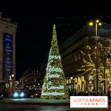 Les illuminations de Noël 2025 du Boulevard Haussmann - IMG 2430