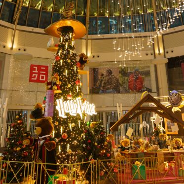 Harry Potter s'invite à Val d’Europe pour les fêtes de Noël ! - VDE 221125 HarryPotter 291 +