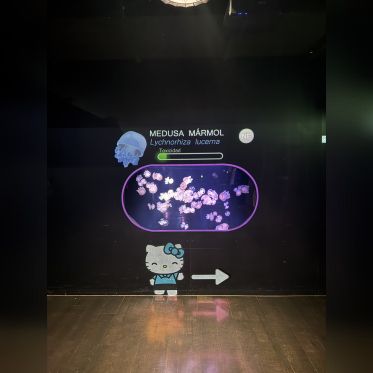 Hello Kitty et ses amis célèbrent les fêtes de fin d'année à l'Aquarium de Paris ! - IMG 8253