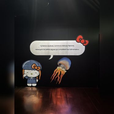 Hello Kitty et ses amis célèbrent les fêtes de fin d'année à l'Aquarium de Paris ! - IMG 8254