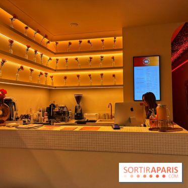 Brume Studio - IMG 1181