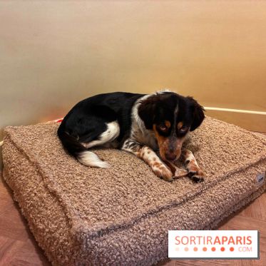 Brume Studio - IMG 1187