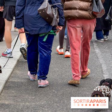 Paris Sausage Walk, la Marche des Teckels 2025