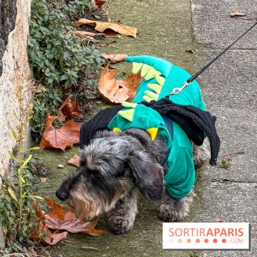 Paris Sausage Walk, la Marche des Teckels 2025