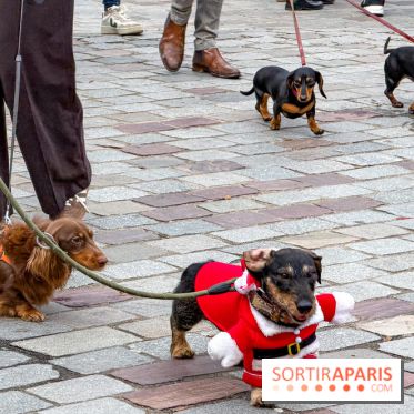 Paris Sausage Walk, la Marche des Teckels 2025