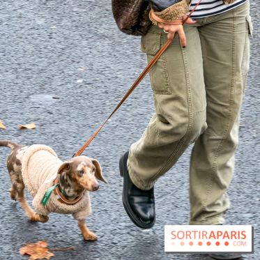 Paris Sausage Walk, la Marche des Teckels 2025 - IMG 1688