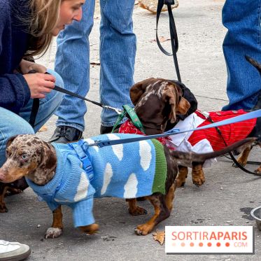 Paris Sausage Walk, la Marche des Teckels 2025 - IMG 1735