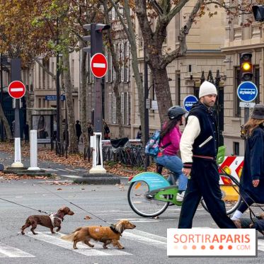 Paris Sausage Walk, la Marche des Teckels 2025