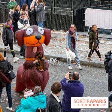 Paris Sausage Walk, la Marche des Teckels 2025 - Facetune 19 09 2026 23 20 53