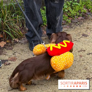 Paris Sausage Walk, la Marche des Teckels 2025