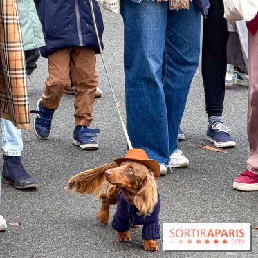 Paris Sausage Walk, la Marche des Teckels 2025