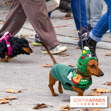 Paris Sausage Walk, la Marche des Teckels 2025