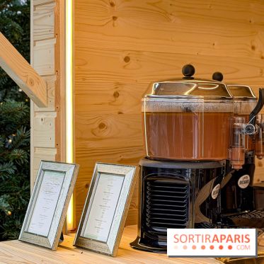 Noël 2025 aux Galeries Lafayette Haussmann : une patinoire éphémère sur les toits de Paris - IMG 3693