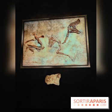 Dinosaures : l'expérience immersive qui nous fait remonter le temps à l'Atelier des Lumières, photos