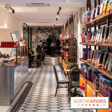 salon de thé chocolatier Chapon Saint-Germain-En-Laye - Yvelines:  chocolat chaud et gourmandises - photos