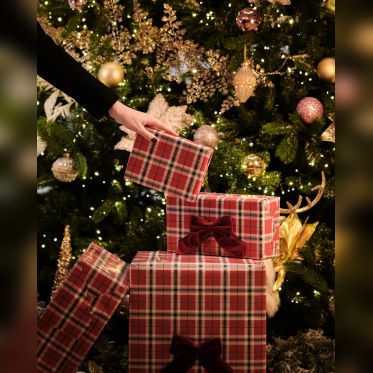 Séjour et dîner raffiné pour les fêtes au Marriott Champs-Élysées - 2025   11   26   Marriott 37