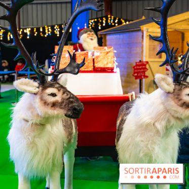 Le Marché de Noël d'Elancourt dans les Yvelines 2025 - photos