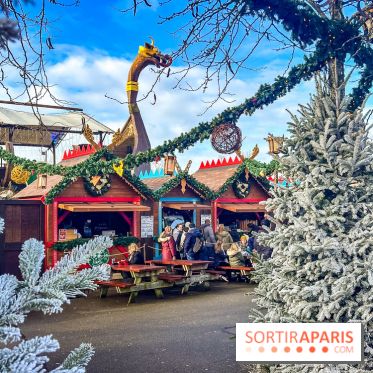 Noël au Parc Astérix 2025, patinoire et marché de Noël  - IMG 7514