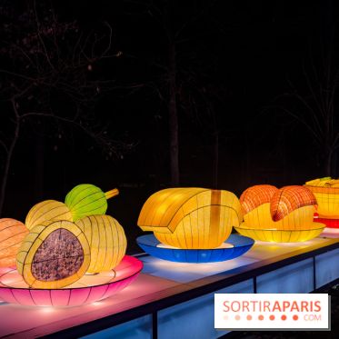 Le Japon en Lumières : le parcours lumineux et festival des lanternes 2025 du Jardin d'Acclimatation
